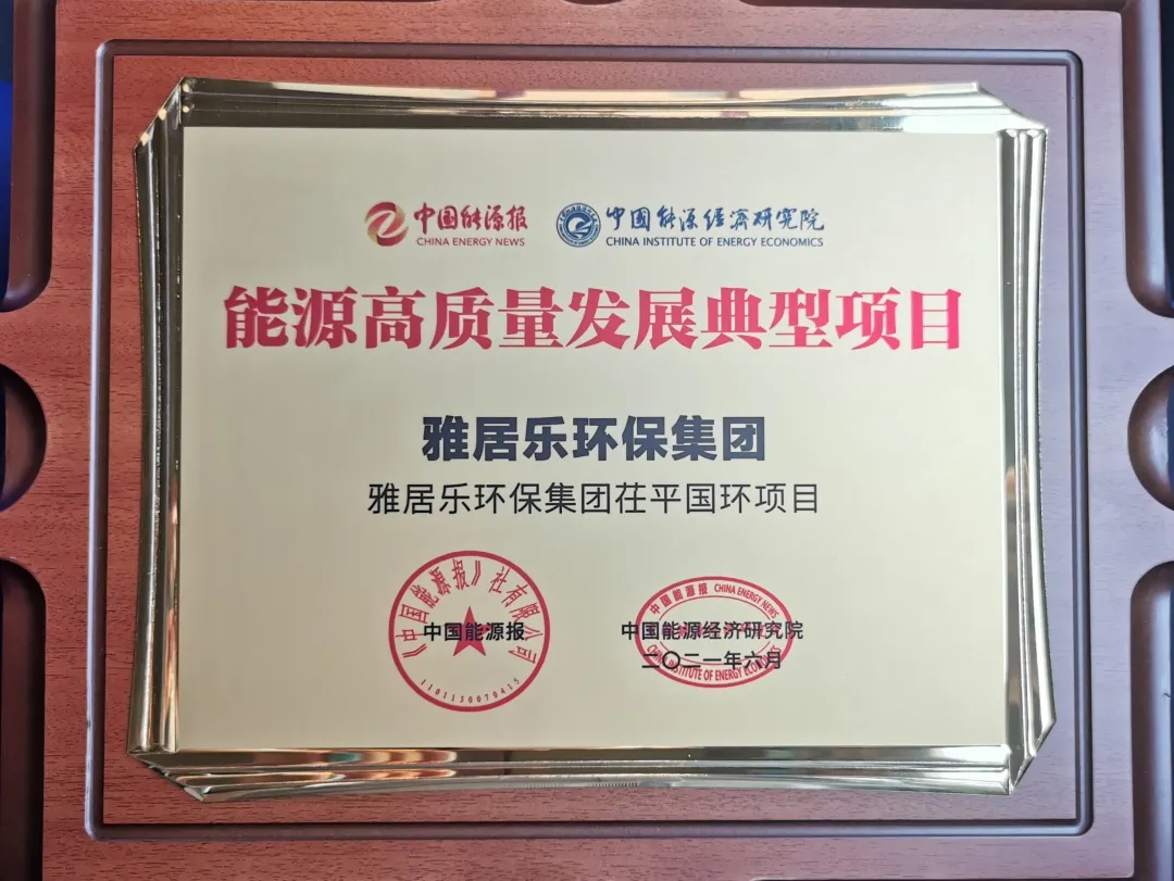 3、、、茌平国环能源奖.png